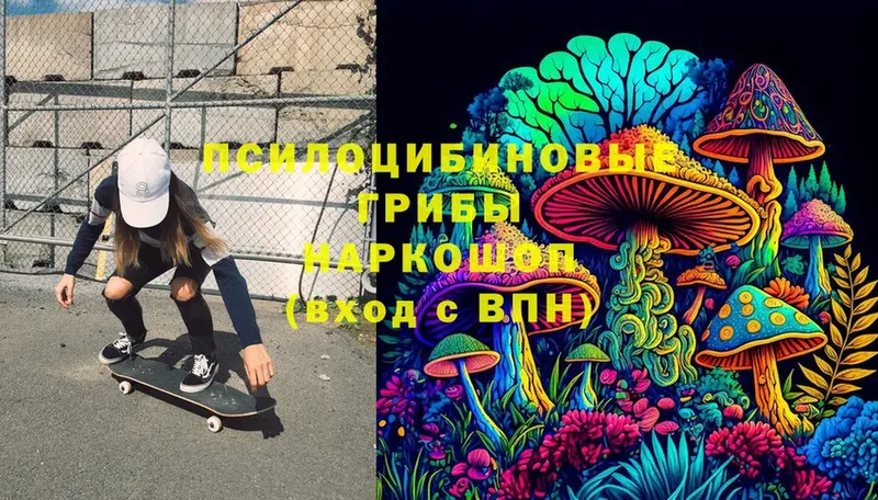 Галлюциногенные грибы Psilocybe  Емва 